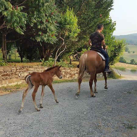 Agriturismo Corte Del Gallo Rivergaro Dış mekan fotoğraf