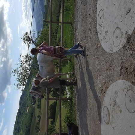 Agriturismo Corte Del Gallo Rivergaro Dış mekan fotoğraf