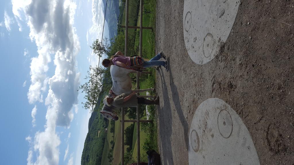 Agriturismo Corte Del Gallo Rivergaro Dış mekan fotoğraf